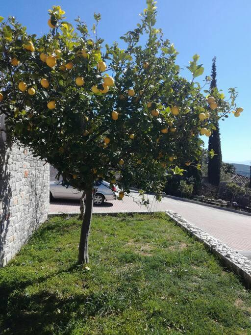 Nafplio, Hill With An Amazing View Apartment ภายนอก รูปภาพ